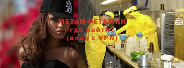 шишки Верея
