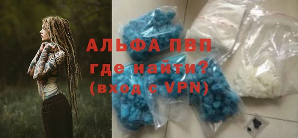 шишки Верея