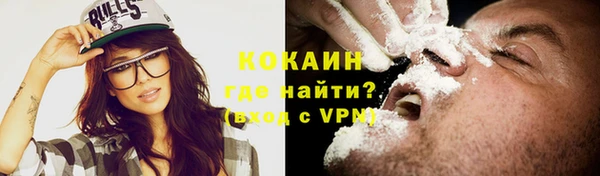 шишки Верея