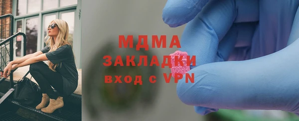 шишки Верея