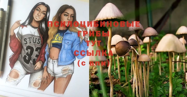 синтетический гашиш Бронницы
