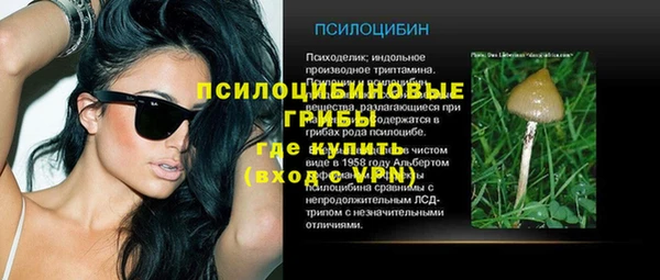 шишки Верея