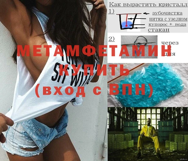 шишки Верея