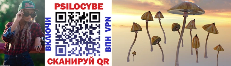 Псилоцибиновые грибы Psilocybe  omg ТОР  Оха 